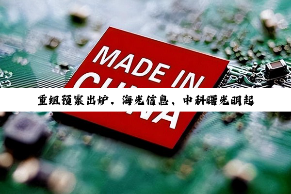 重组预案出炉,海光信息、中科曙光明起复牌