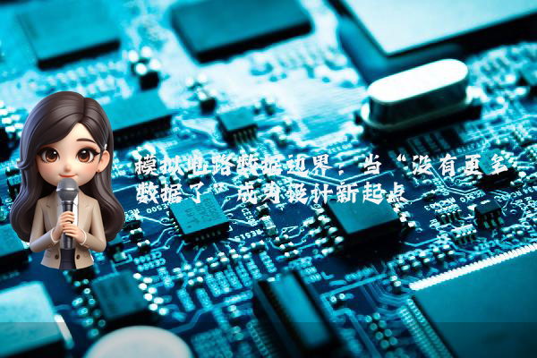 模拟电路数据边界：当“没有更多数据了”成为设计新起点