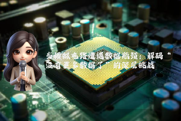 当模拟电路遭遇数据瓶颈：解码“没有更多数据了”的深层挑战